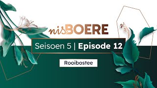 nisBOERE 5  Episode 12  Rooibostee [upl. by Atsev99]