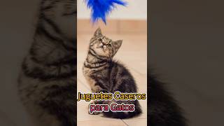 5 MEJORES JUGUETES CASEROS PARA GATOS [upl. by Lebatsirhc]