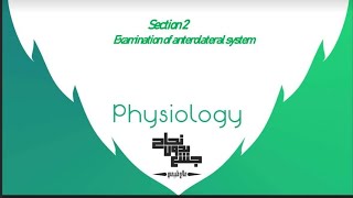 Examination of anterolateral system physiology 3 section 2 [upl. by Yeliab752]