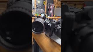 Testing the Defender CCW Dot on an AR [upl. by Oralie]