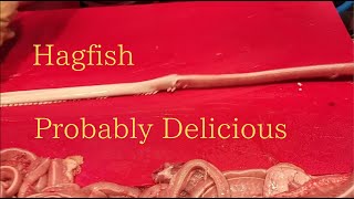 【Hagfish】Probably Delicious [upl. by Almap179]