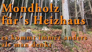 Mondholz für´s Heizhaus  oder  manchmal kommt es anders als man denkt [upl. by Nomrah940]