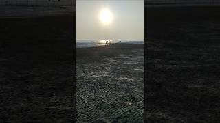 Chittagong Tour  Sitakunda  Guliakhali Sea Beach ⛱️  Mangrove Forest  Sunset View [upl. by Harrus]