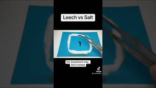 Can salt cause damage to leech [upl. by Nowujalo150]