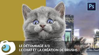 Photoshop  Détourer des poils avec un chaton tout mignon  F14 S06E31 [upl. by Ees713]