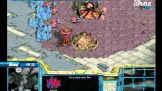 SPL Bisu vs Action 20101215  Icarus [upl. by Eneryt]