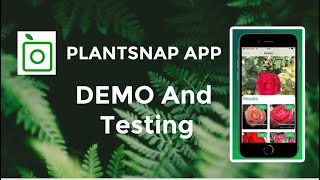 PlantSnap Plant Identification App Demo And Testing [upl. by Behre]