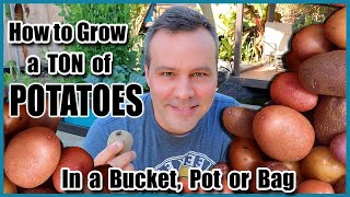 Unlock The Secret Growing Potato In Plastic Bags On Your Backyard  Growing Potatoes [upl. by Nnahs371]