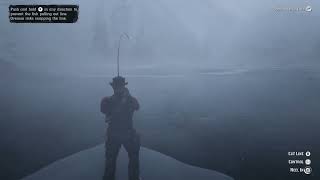 Legendary Sockeye Salmon location rdr2storymode [upl. by Shelby298]