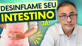 Como DESINFLAMAR seu INTESTINO em Poucos Meses [upl. by Bradney]