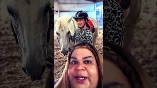 Betty in a nutshell 🥰🐎🥰  Giddy UpampGo youtubeshorts horse equestrian horsebackriding pony [upl. by Niltiac]