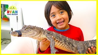 Surprise Ryan with Pet Crocodile [upl. by Deane]