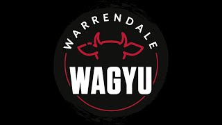 Warrendale Wagyu Overview [upl. by Tnecnivleahcim614]