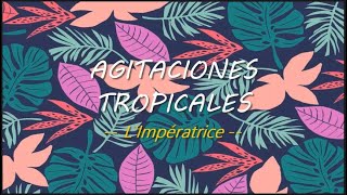 Agitations tropicales  LImpératrice sub  español [upl. by Bouzoun]