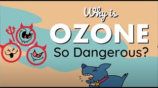 Why Is Ozone Dangerous [upl. by Annaoy]