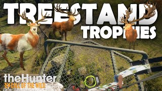 Bow Hunting TROPHY RED DEER From TREESTANDS ONLY  Call of the Wild [upl. by Cornall]