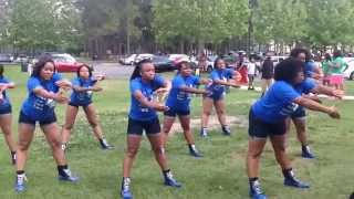 2014 Metro Orlando Stroll Off EEZ  Zeta Phi Beta [upl. by Elisabetta]