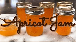 APRICOT JAM made with just FOUR ingredients [upl. by Leler]