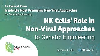 NK Cells’ Role in NonViral Approaches to Genetic Engineering [upl. by Ahsemed]