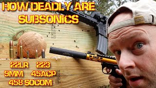 How deadly is Subsonic Ammunition 22lr 223 9mm 45acp 458 SOCOM [upl. by Sire]