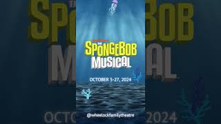 The Spongebob Musical Coming in ONE MONTH [upl. by Blanka614]