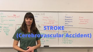 Stroke  Cerebrovascular Accident CVA [upl. by Pierson]