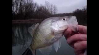 James River Crappie Fishing NonStop  Jan 2013 [upl. by Gui]