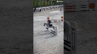 60cm 4 penalties❤️horse pony showjumping horseriding horselover equestrian [upl. by Ynnavoeg529]