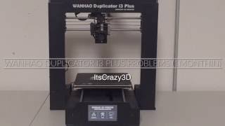 WANHAO Duplicator i3 Plus Problems 1MonthIn [upl. by Ymereg186]