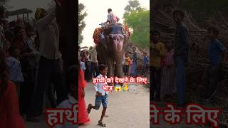 PyarKarimakaikedikkat hoHindisongmusicfunny elephantfunnyanimalfunnybhai support❤️🙏🐘 [upl. by Ardel]