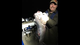 DEEP SEA FISHING NEW ZEALAND  Groper off the Kaikoura Coast [upl. by Zuliram]