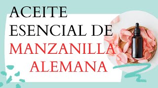 Aceite esencial de MANZANILLA ALEMANA Matricaria recutita [upl. by Aij]