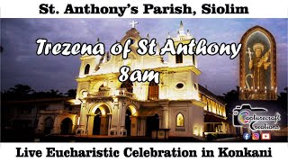 10th day of Trezena  Konkani Mass Live at 8am 12th June 2024  St Anthonys Church Siolim [upl. by Desmond]