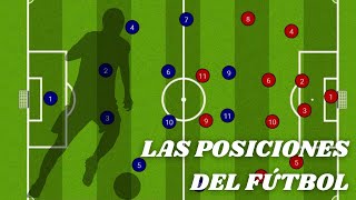 LAS POSICIONES EN EL FÚTBOL  Características funciones y roles de los jugadores de fútbol [upl. by Bowerman371]