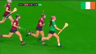 Dicksboro v Sarsfields All Ireland Senior Camogie Club Final 2023 [upl. by Gauntlett]