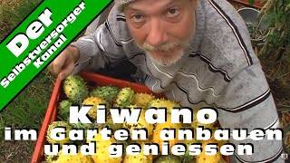 Kiwano im Garten anbauen und geniessen [upl. by Asenej]