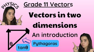 Grade 11 vector in two dimensions physics LEVEL EASY [upl. by Ahsiena275]