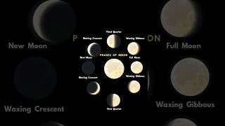 Phases of Moon  Moon  Full Moon  New Moon  Waxing Crescent  Waning Gibbous  Night Sky  Space [upl. by Lupien]