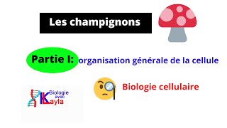 Les champignons [upl. by Alliehs]