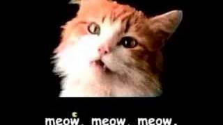 Meow Mix song [upl. by Inalial]