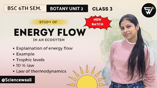 Energy Flow in an Ecosystem🌳Trophic levelsLaw of thermodynamicsBSc 6th Sem BOTANY unit 2 [upl. by Eenobe44]