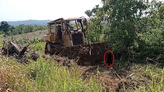 Bulldozer Caterpillar D6R XL trabajando limpiando caminos de plantaciones [upl. by Barr]