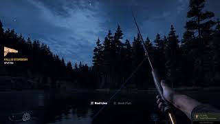 Far Cry 5 Pallid Sturgeon Hard Location [upl. by Lemieux817]