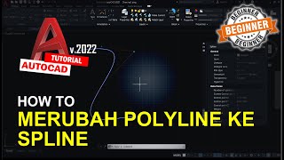 AutoCAD Cara Merubah Polyline Ke Spline [upl. by Eelyahs]