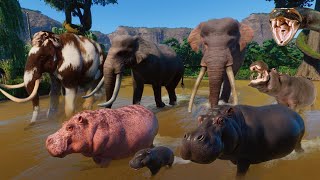 30 Elephants VS 30 Hippopotamus Animals Race in Planet Zoo included Woolly Mammoth amp Pygmy Hippo [upl. by Yarg]