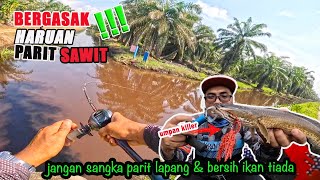 PARIT YANG TENANG JANGAN SANGKA TIADA IKAN BERDESUP DESUP UMPAN KENA SEDUT JamriFishing [upl. by Elmina]