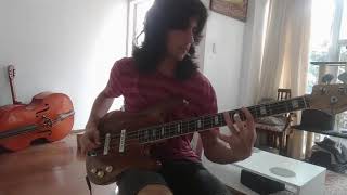 The Smiths  What Difference Does It Make BASS COVER [upl. by Kelwen]