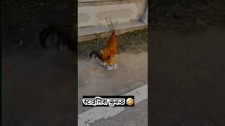 स्टाइल कुक्ड 🤣 shorts funnyshorts comedy tiktokvideo [upl. by Itnaihc]