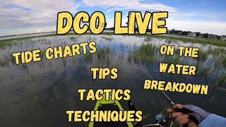 How to Read Tide Charts to Catch More Fish [upl. by Ricketts327]