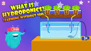 How To Grow Plants Without Soil  Hydroponic Farming At Home  The Dr Binocs Show  Peekaboo Kidz [upl. by Langston]